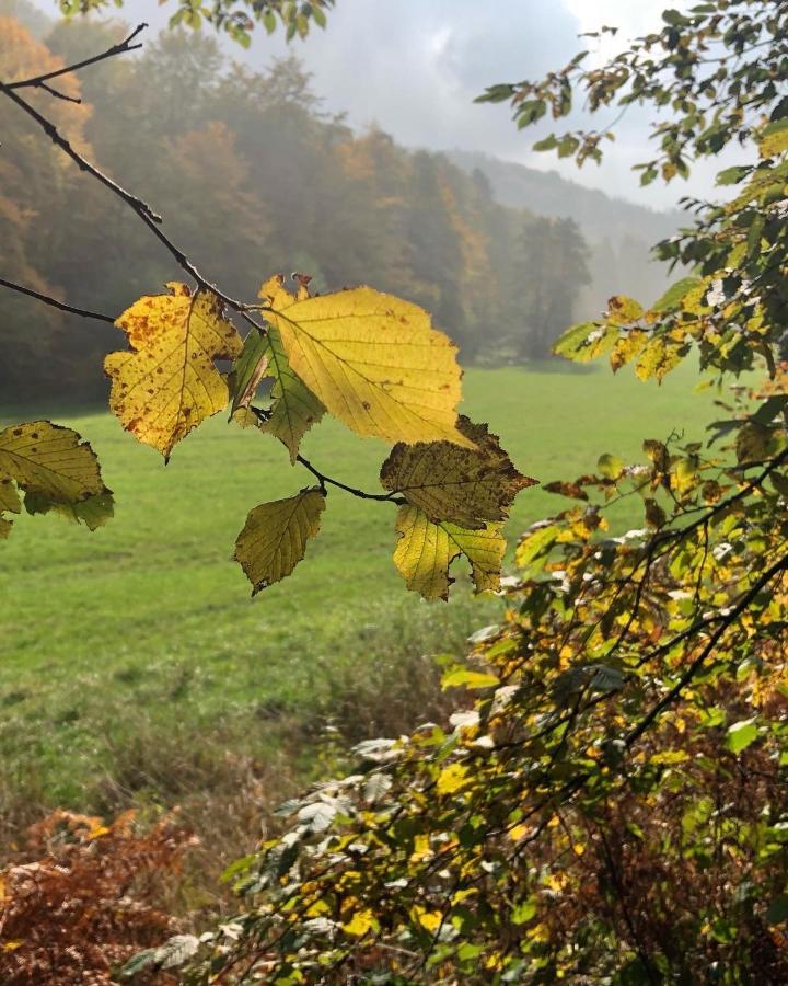 Gartenblick Leichlingen Exteriér fotografie