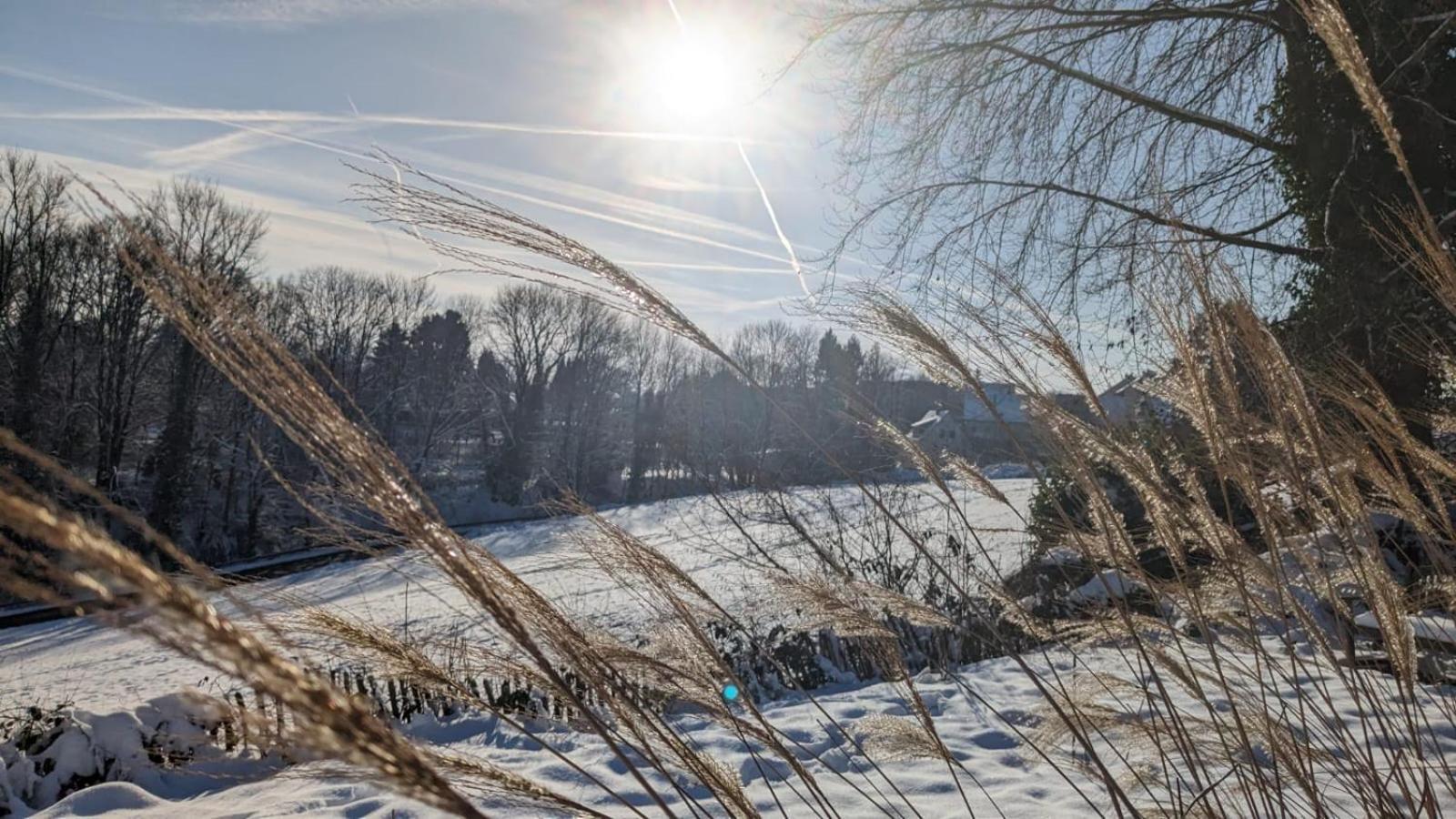 Gartenblick Leichlingen Exteriér fotografie