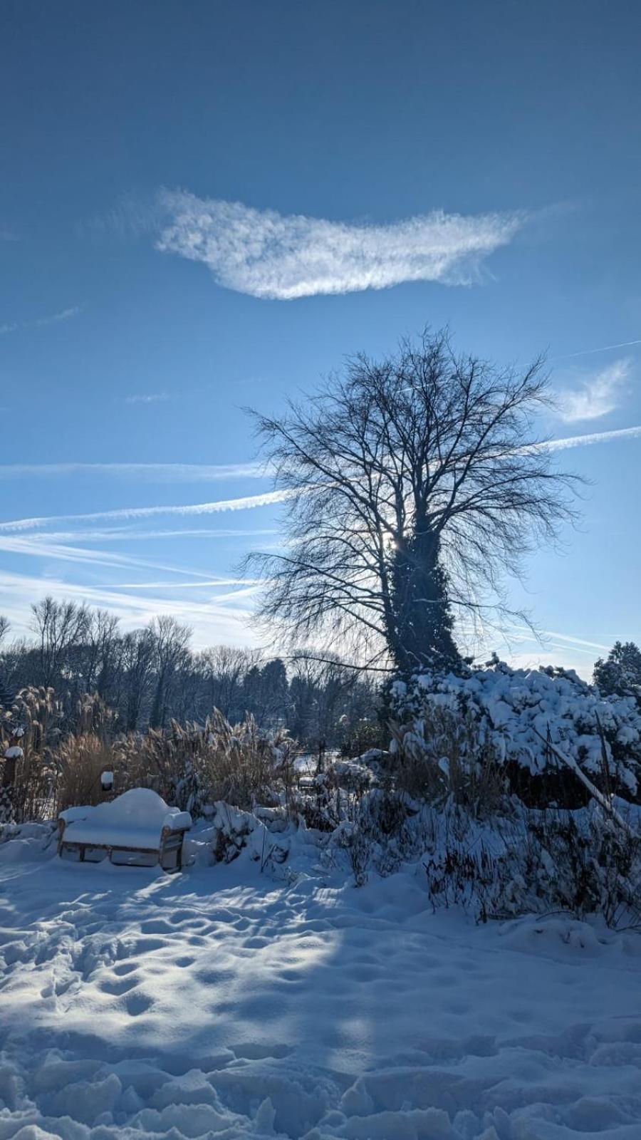 Gartenblick Leichlingen Exteriér fotografie