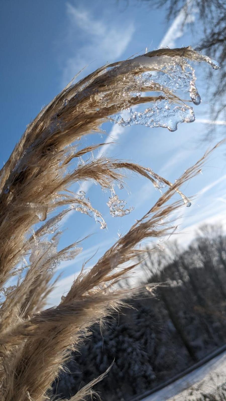 Gartenblick Leichlingen Exteriér fotografie