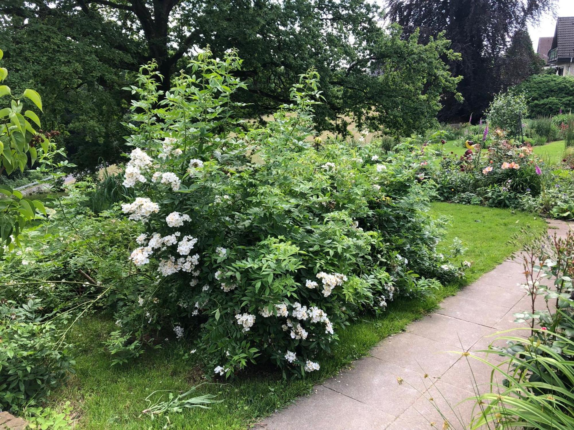 Gartenblick Leichlingen Exteriér fotografie