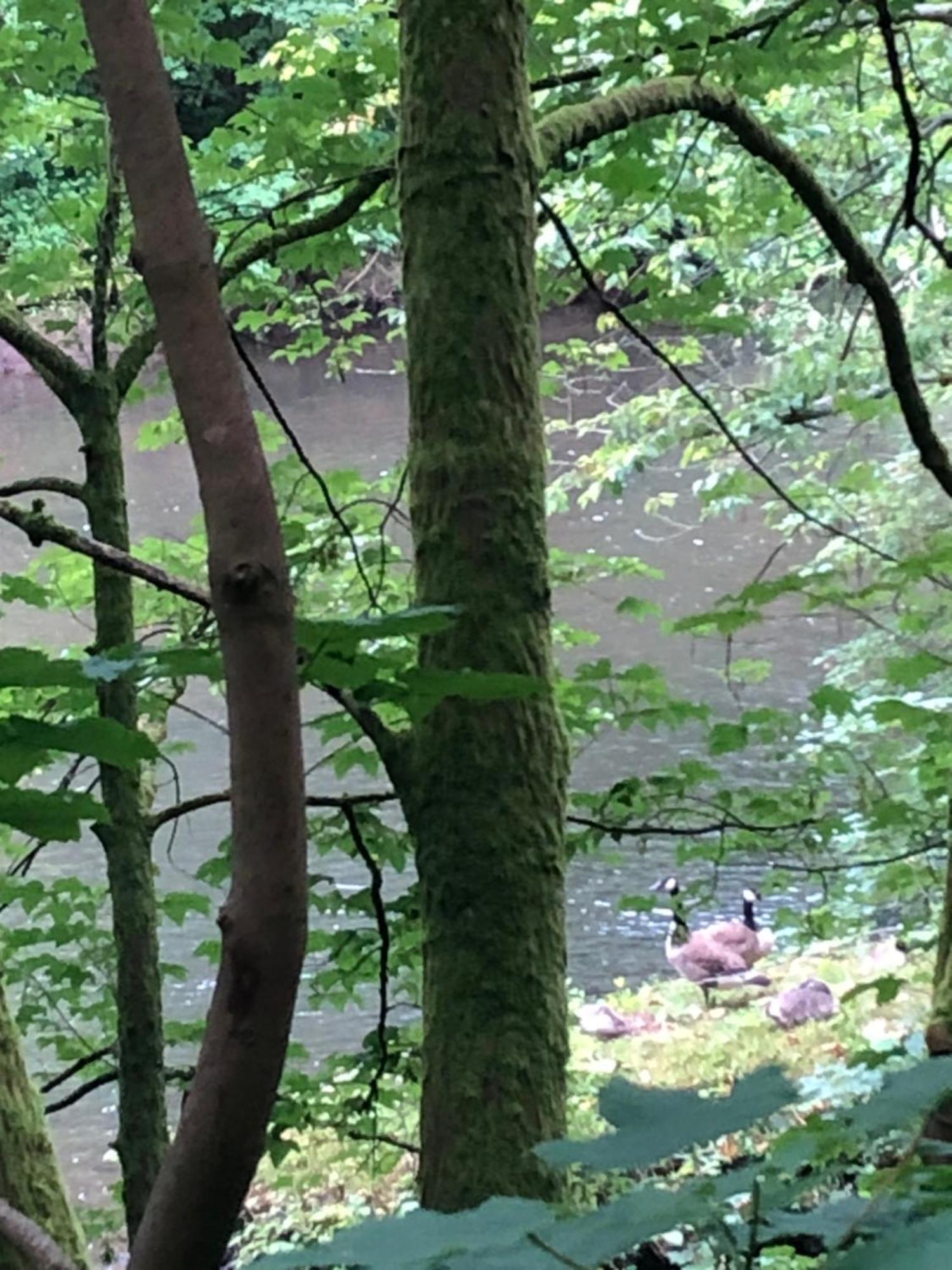Gartenblick Leichlingen Exteriér fotografie